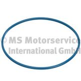 Прокладка, датчик уровня топлива, Прокладка, пробка топливного бака