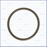 Прокладка впускного коллектора