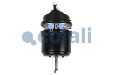 COJALI 2251513 Энергоаккумулятор дисковый тормоз Type24/24 IBV (Wabco925 481 012 0) Multibrand - 1