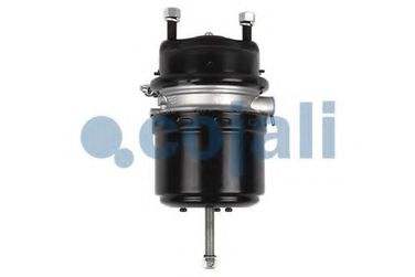 COJALI 2251513 Энергоаккумулятор дисковый тормоз Type24/24 IBV (Wabco925 481 012 0) Multibrand - 2