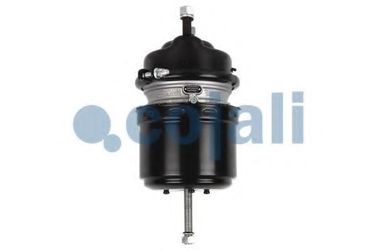 COJALI 2251513 Энергоаккумулятор дисковый тормоз Type24/24 IBV (Wabco925 481 012 0) Multibrand - 3