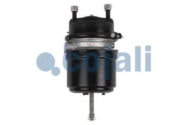 COJALI 2251513 Энергоаккумулятор дисковый тормоз Type24/24 IBV (Wabco925 481 012 0) Multibrand - 4