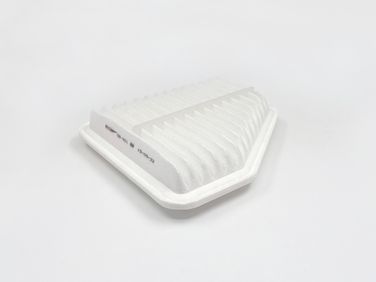 BIG Filter GB-901 Фильтр Воздушный - 3