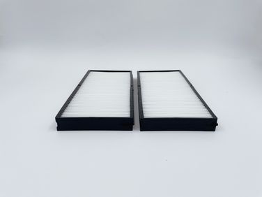 BIG Filter GB-9900 Фильтр салона - 2