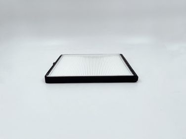 BIG Filter GB-9912 Фильтр салона - 2