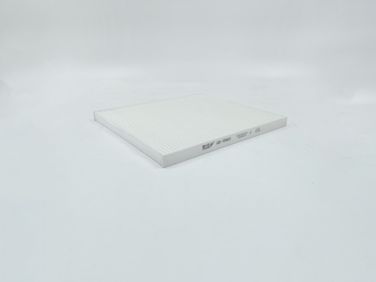 BIG Filter GB-9960 Фильтр салона - 2