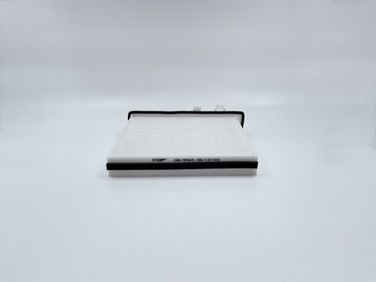 BIG Filter GB-9965 Фильтр салона - 4