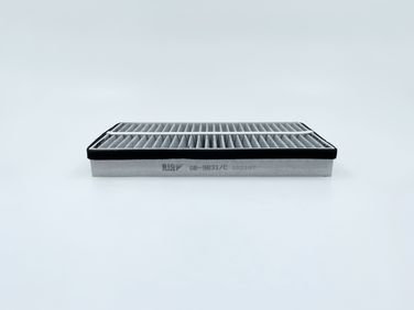 BIG Filter GB-9831/C Фильтр салона угольный - 1