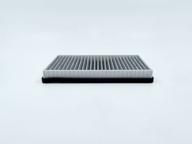 BIG Filter GB-9831/C Фильтр салона угольный - 3