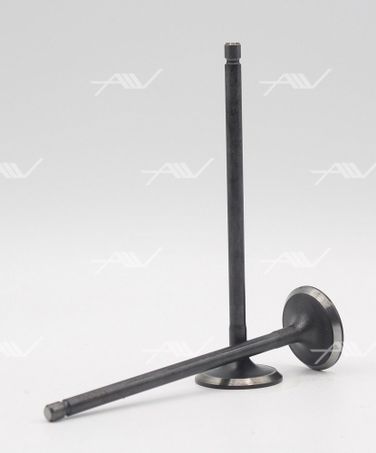 AUTOWELT VI32002 Клапан впускной - 1