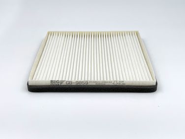 BIG Filter GB-9859 Фильтр салона - 1