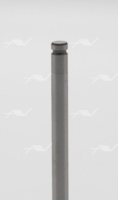 AUTOWELT VI54004 Клапан впускной - 2