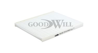 GoodWill AG 116 CF Фильтр салона - 1