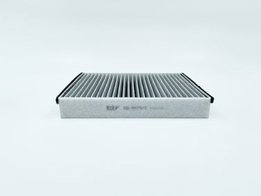 BIG Filter GB-9979/C Фильтр салона угольный - 1