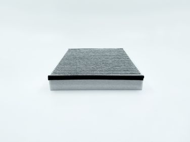 BIG Filter GB-9979/C Фильтр салона угольный - 3