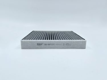 BIG Filter GB-9973/C Фильтр салона угольный - 1