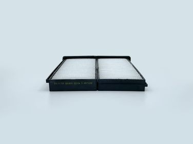 BIG Filter GB-9915 Фильтр салона - 3