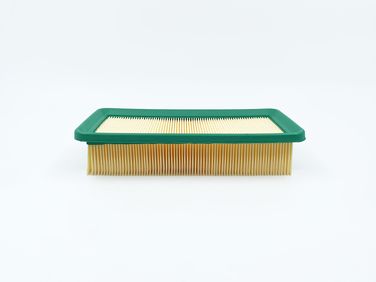 BIG Filter GB-929 Фильтр Воздушный - 1