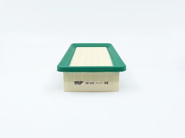 BIG Filter GB-929 Фильтр Воздушный - 2