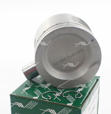 AUTOWELT PN51081 Поршень-комплект - 1