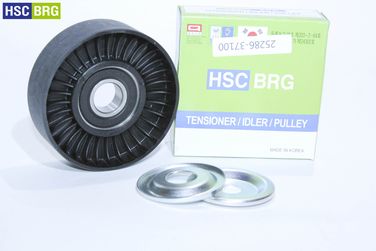 HSC 70257 Ролик промежуточный ремня вентилятора - 1