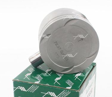 AUTOWELT PN53031 Поршень - 1