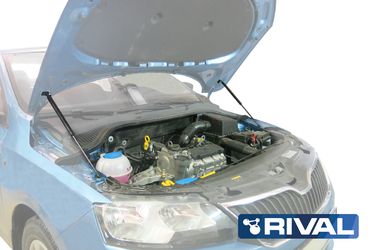 Rival A.ST.5104.1 Амортизаторы капота, Skoda Rapid v - все, 2014-..., крепеж в комплекте, сталь 2 шт - 2