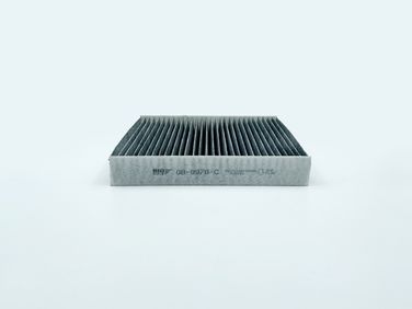 BIG Filter GB-9978/C Фильтр салона угольный - 1