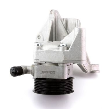 DOMINANT RE5004000927 Насос гидроусилителя руля - 1