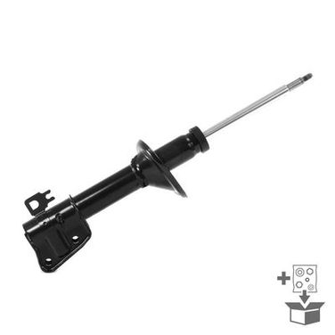 Monroe D0006L Амортизатор - 9