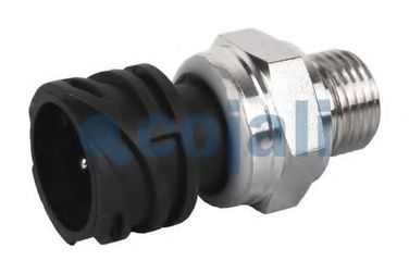 COJALI 2260283 Датчик давления масла - 3