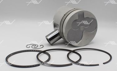AUTOWELT PN33250 Поршнекомплект nissan td27/td42 НЕ турбо d96.0 STD - 1