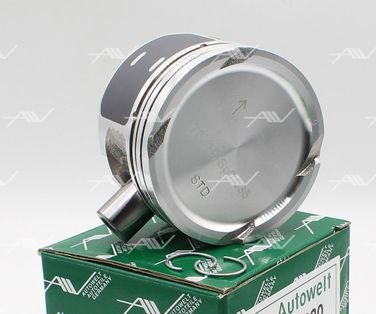 AUTOWELT PN-51221 Поршнекомплект vw 1.6 (без колец ) 16v atn, azd 9 - 1