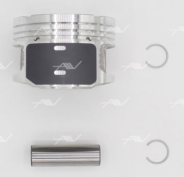 AUTOWELT PN-51221 Поршнекомплект vw 1.6 (без колец ) 16v atn, azd 9 - 4