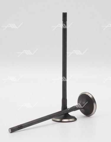 AUTOWELT VE-53015 клапан вып opel z 16 xer/z 16 xe1 27.5x5x - 1