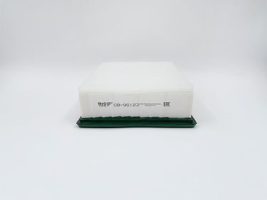 BIG Filter GB-95123 Фильтр воздушный - 3