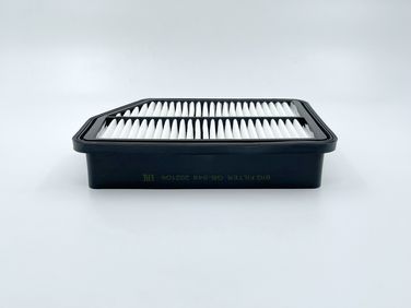 BIG Filter GB-948 Фильтр Воздушный - 2