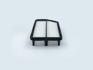 BIG Filter GB-963 Фильтр Воздушный - 4