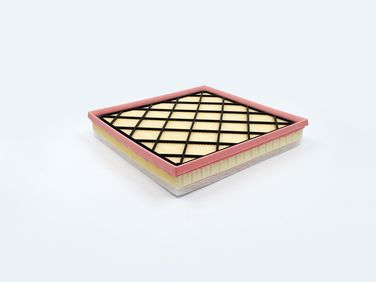 BIG Filter GB-965 Фильтр Воздушный - 3