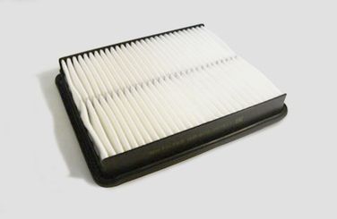 BIG Filter GB-972 Фильтр Воздушный - 1