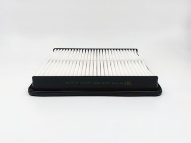 BIG Filter GB-972 Фильтр Воздушный - 2