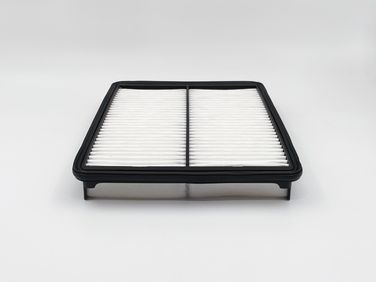 BIG Filter GB-972 Фильтр Воздушный - 3