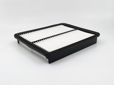 BIG Filter GB-972 Фильтр Воздушный - 4