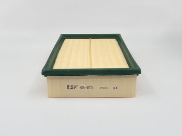 BIG Filter GB-973 Фильтр Воздушный - 3