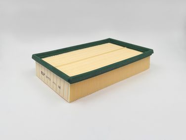 BIG Filter GB-973 Фильтр Воздушный - 4