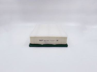 BIG Filter GB-975 Фильтр Воздушный - 2