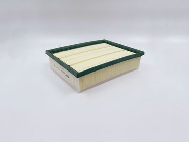 BIG Filter GB-975 Фильтр Воздушный - 3