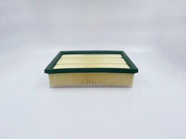 BIG Filter GB-975 Фильтр Воздушный - 4