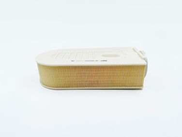 BIG Filter GB-95033PL Фильтр Воздушный - 1
