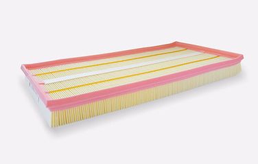 BIG Filter GB-95001 Фильтр воздушный - 1